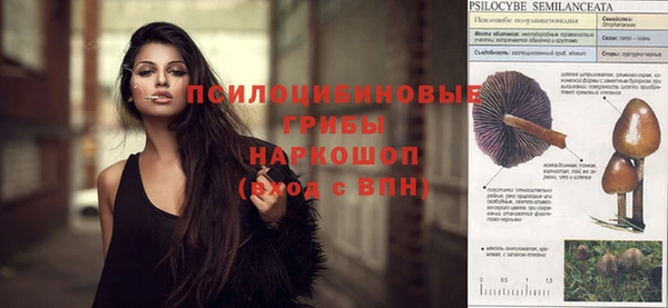 ALPHA PVP Нестеровская