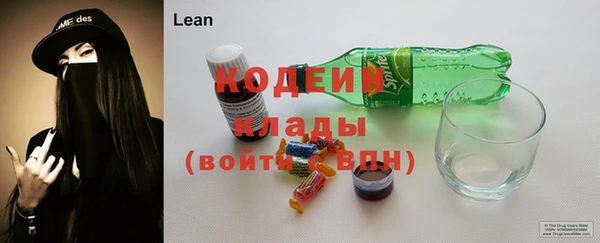 хмурый Калининец