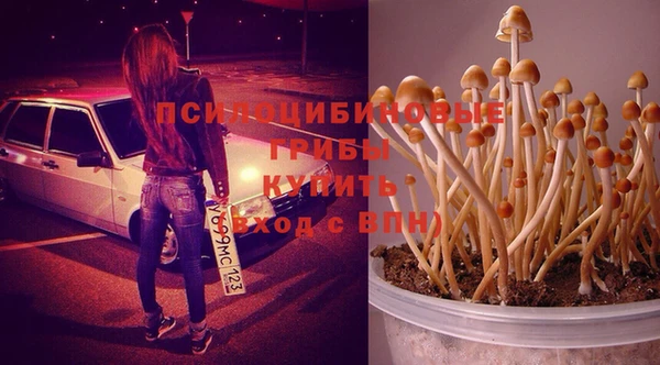 таблы Покровск