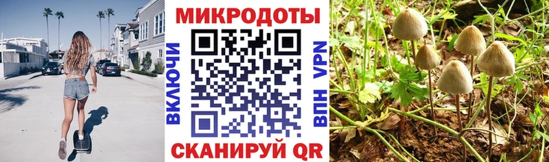 Галлюциногенные грибы GOLDEN TEACHER наркота Волоколамск